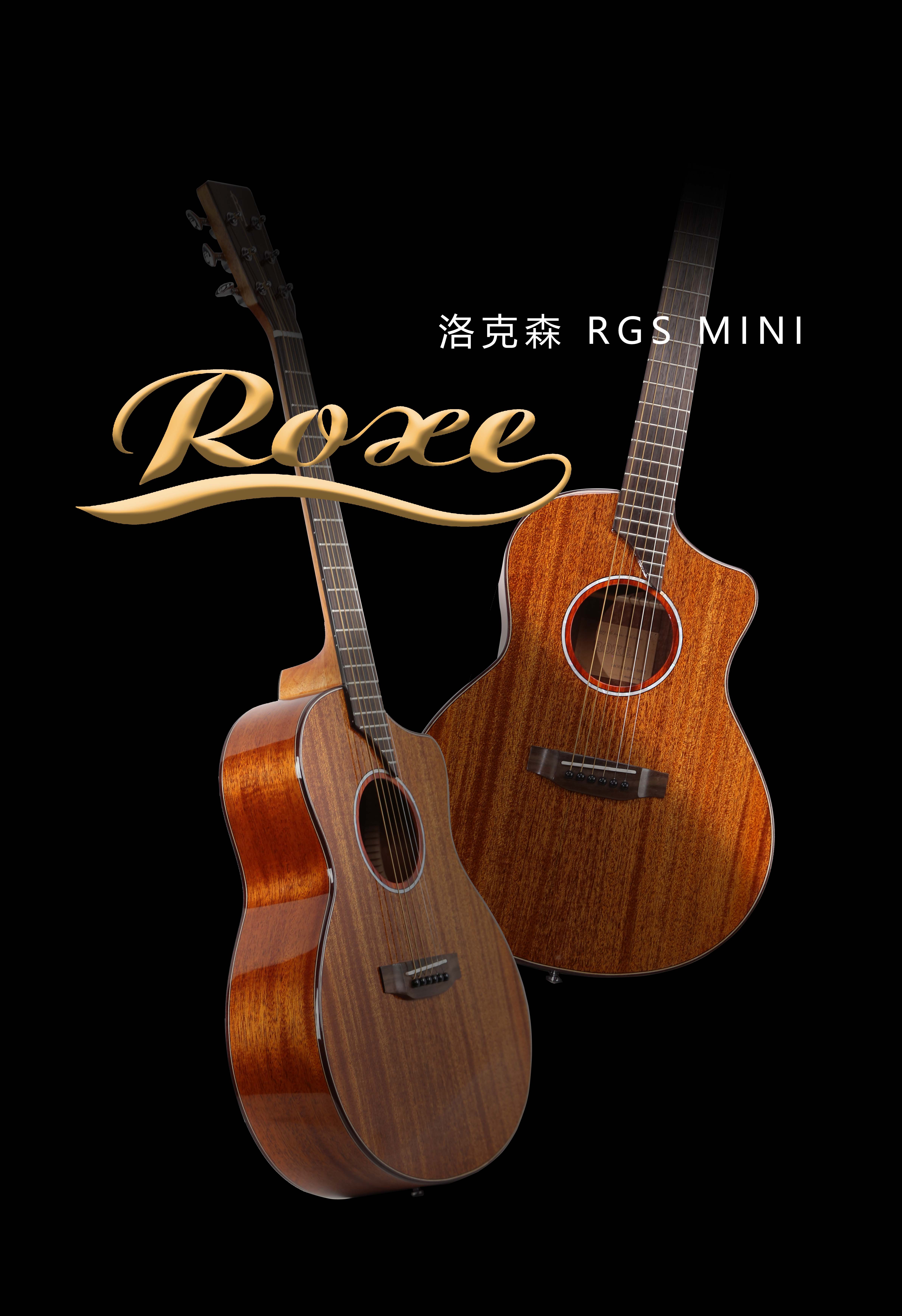 ROXE RGS MINI 1.jpg